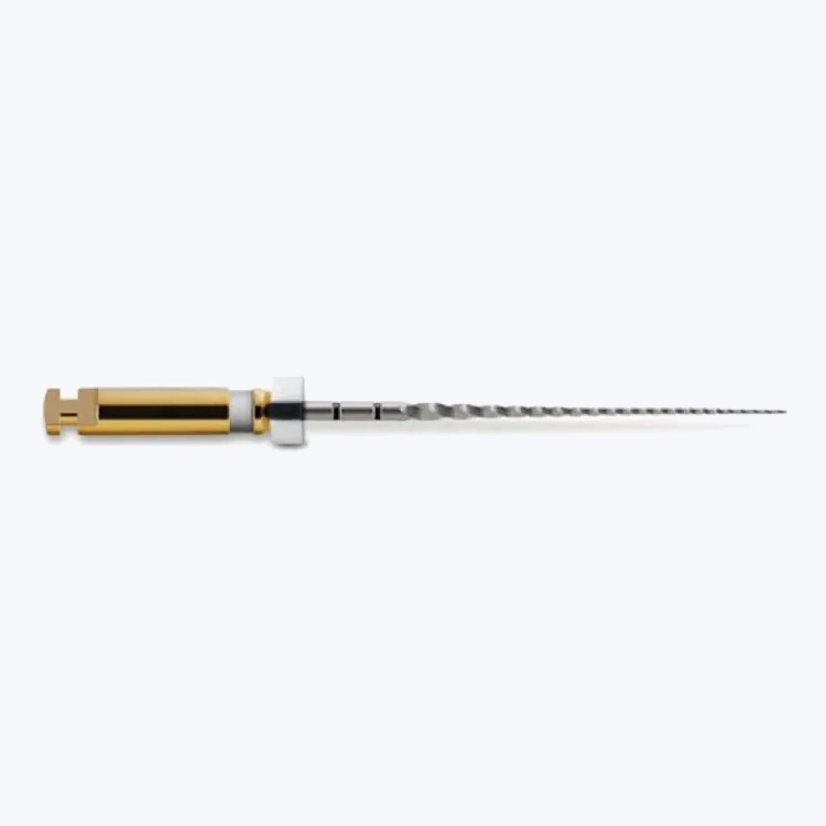 Dentsply Proglider Rotary Files